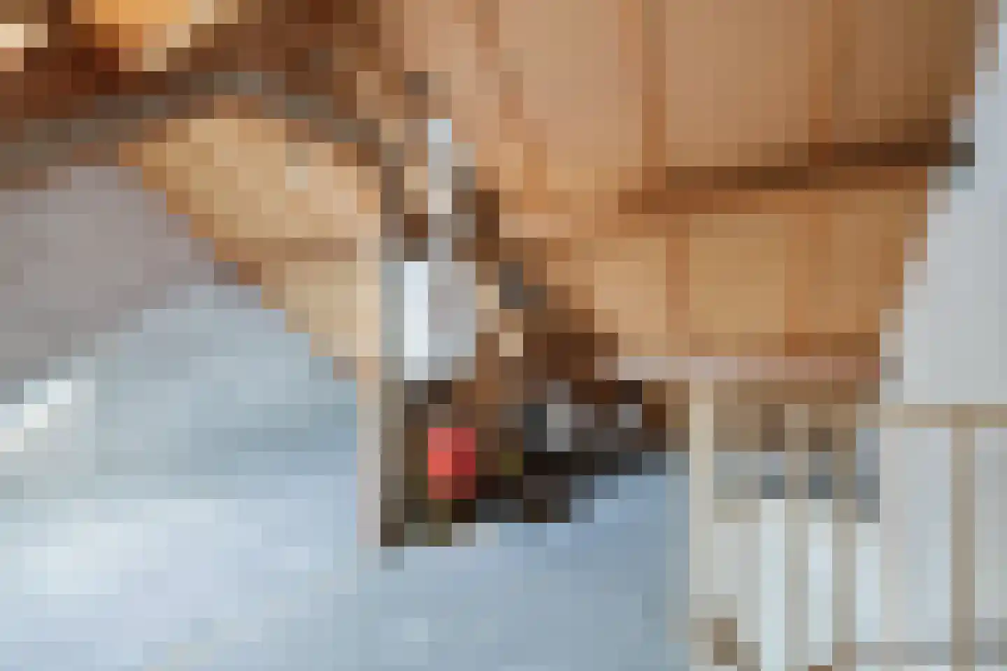 Schepelhei 7 Veldhoven thumbnail 28