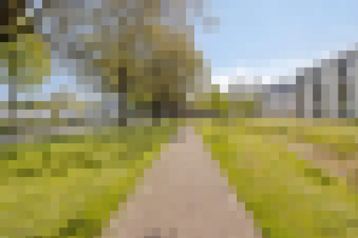 Schepelruwe 34 Maastricht thumbnail 42