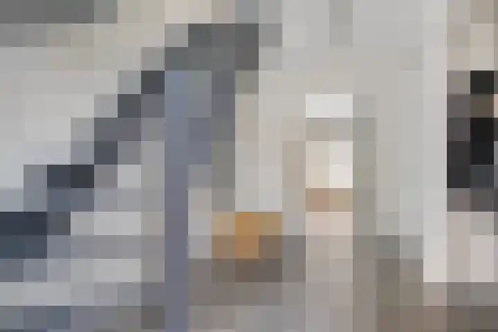 Schepen 29 Naaldwijk thumbnail 10