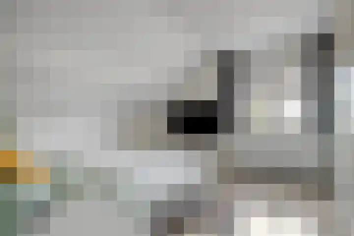 Schepen 29 Naaldwijk thumbnail 12