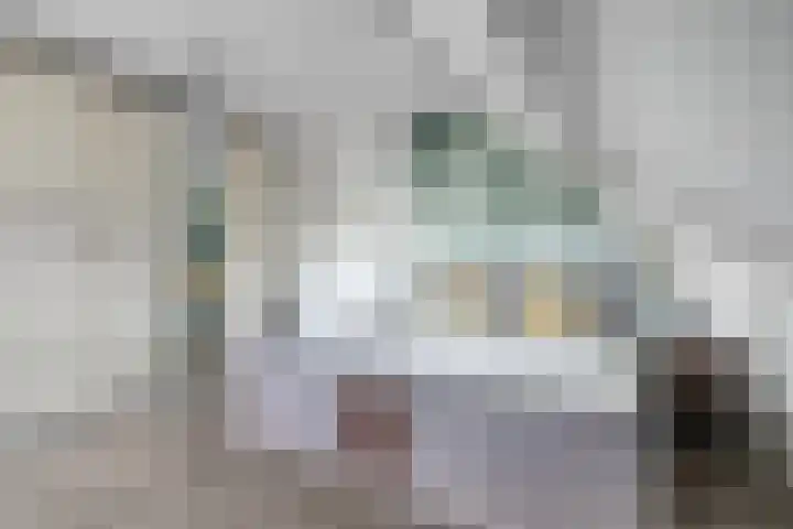 Schepen 29 Naaldwijk thumbnail 13