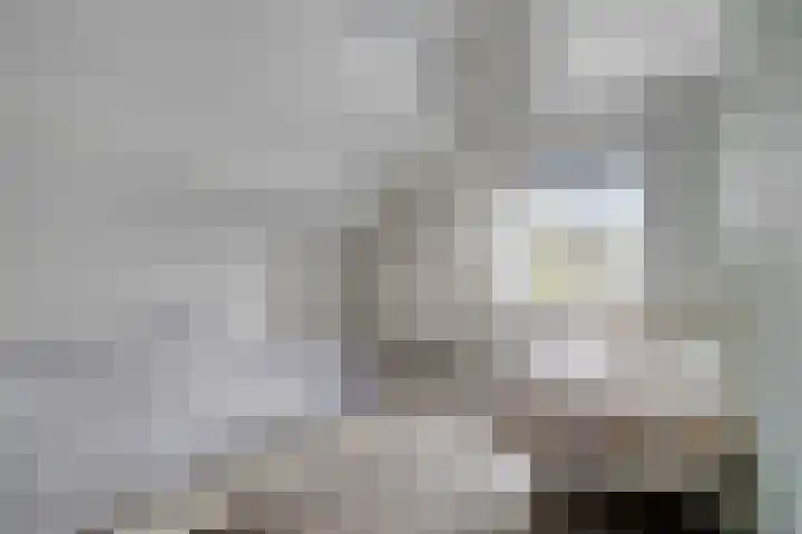 Schepen 29 Naaldwijk thumbnail 14