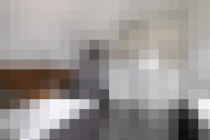 Schepen 29 Naaldwijk thumbnail 18