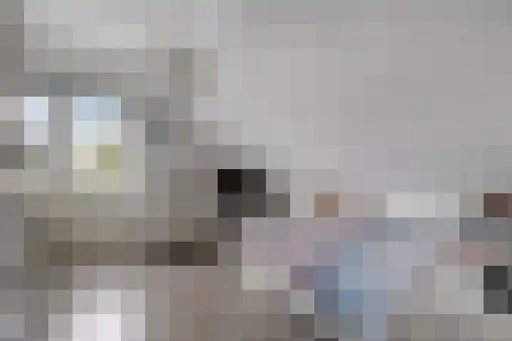 Schepen 29 Naaldwijk thumbnail 19