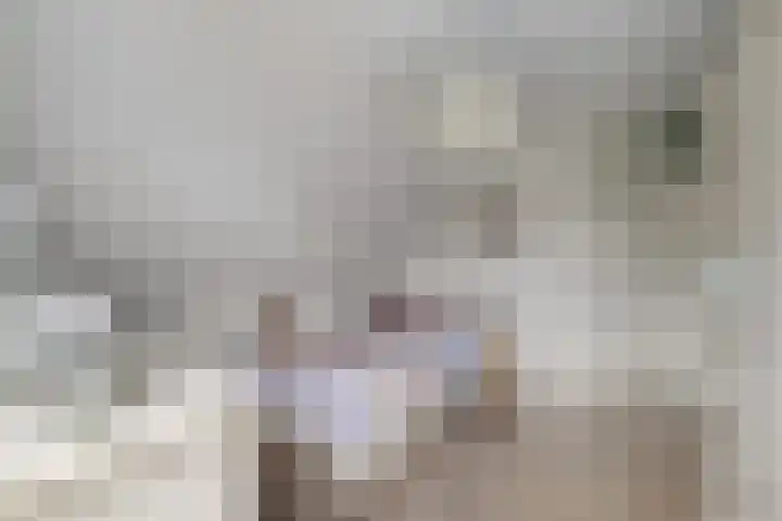 Schepen 29 Naaldwijk thumbnail 20