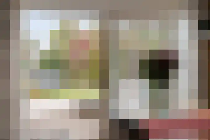 Schepen 29 Naaldwijk thumbnail 25