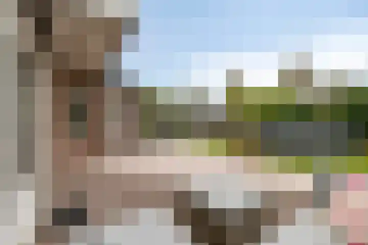 Schepen 29 Naaldwijk thumbnail 27