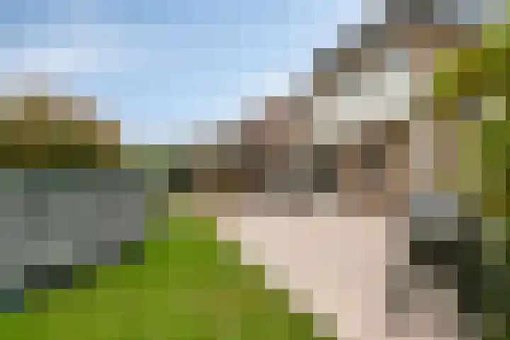 Schepen 29 Naaldwijk thumbnail 28
