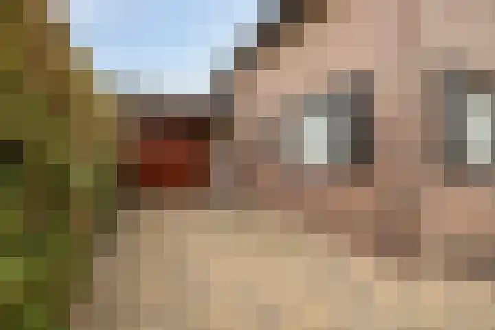 Schepen 29 Naaldwijk thumbnail 33