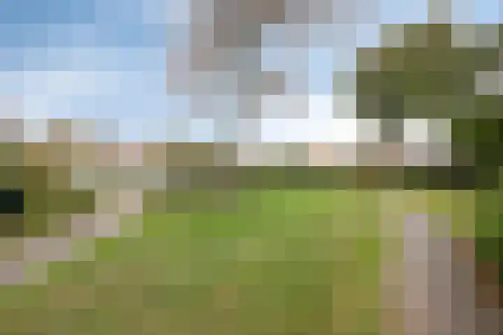 Schepen 29 Naaldwijk thumbnail 34