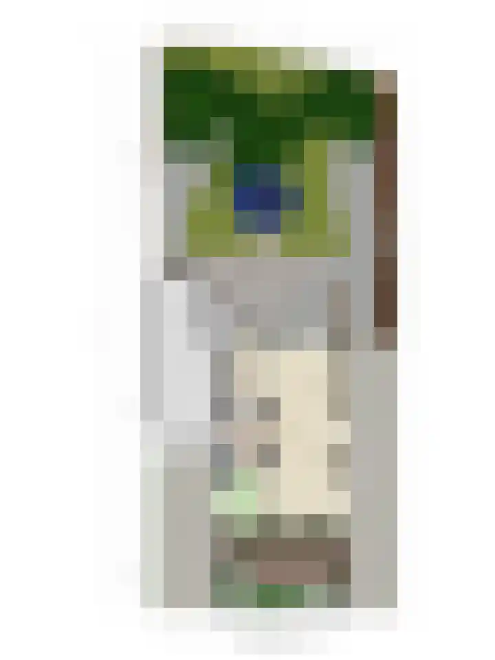 Schepen 29 Naaldwijk thumbnail 35