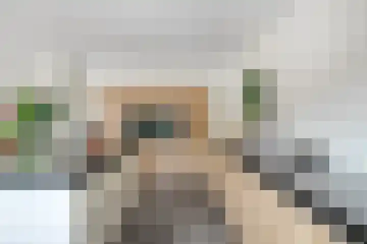 Schepen 29 Naaldwijk thumbnail 8