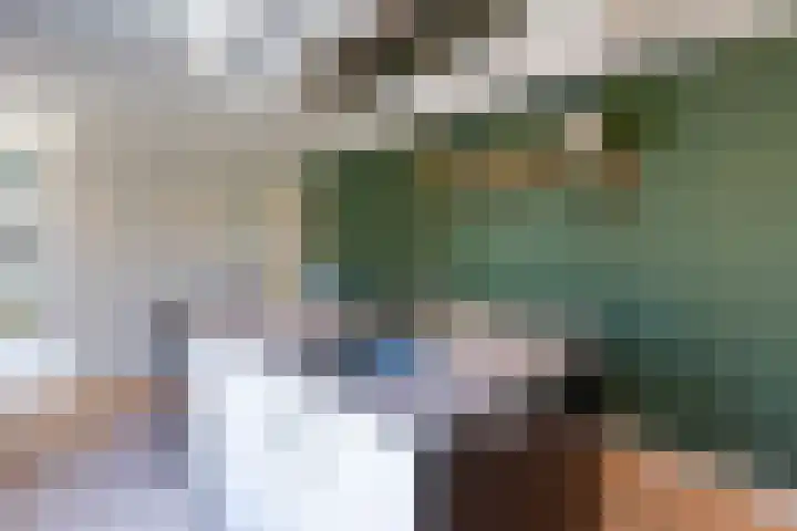 Schepen 67 Naaldwijk thumbnail 11