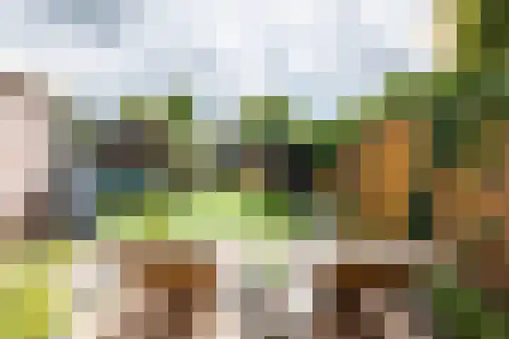 Schepen 67 Naaldwijk thumbnail 15