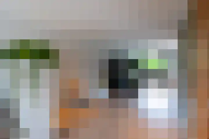 Schepen 67 Naaldwijk thumbnail 17