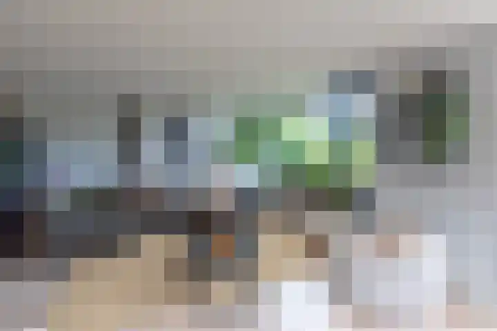 Schepen 67 Naaldwijk thumbnail 18