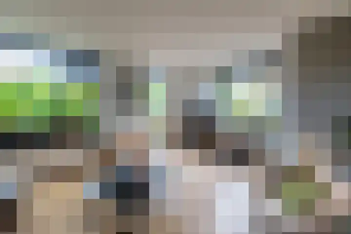 Schepen 67 Naaldwijk thumbnail 19