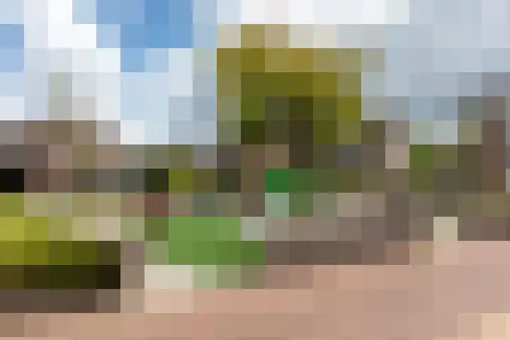 Schepen 67 Naaldwijk thumbnail 21