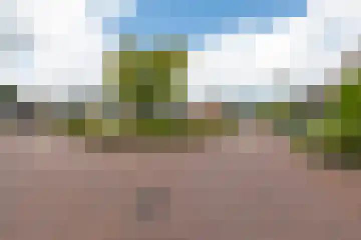 Schepen 67 Naaldwijk thumbnail 22