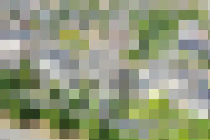 Schepen 67 Naaldwijk thumbnail 23