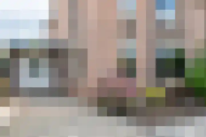 Schepen 67 Naaldwijk thumbnail 24