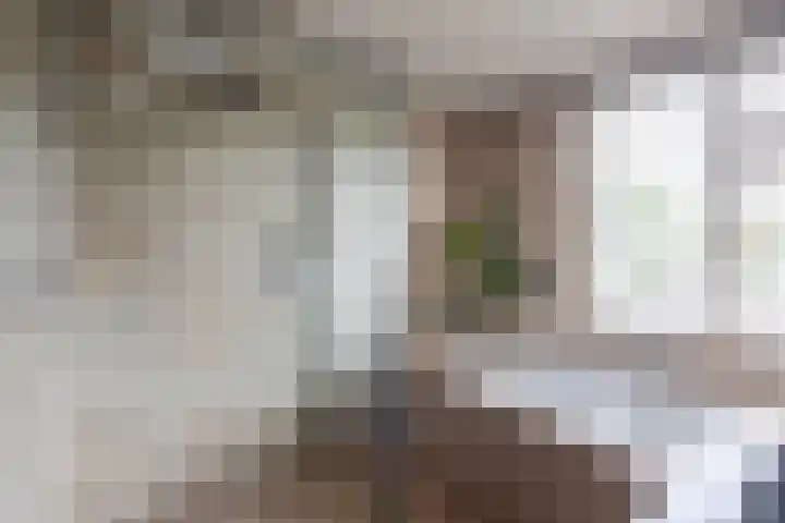 Schepen 67 Naaldwijk thumbnail 28