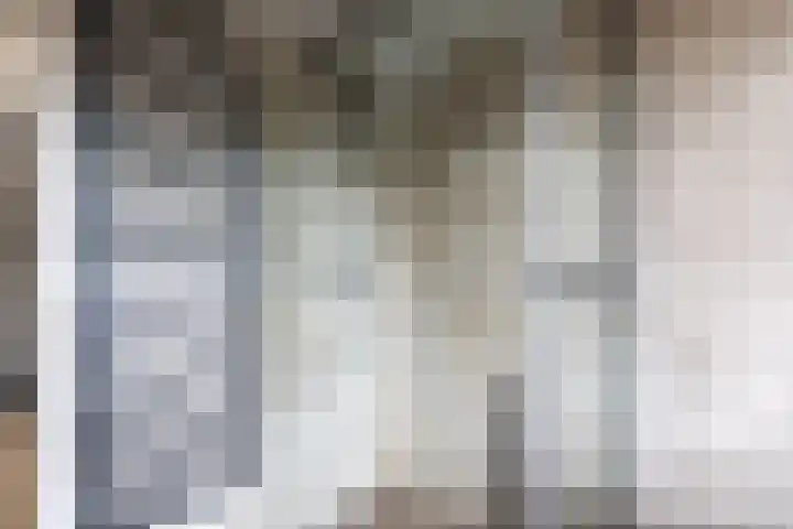 Schepen 67 Naaldwijk thumbnail 29