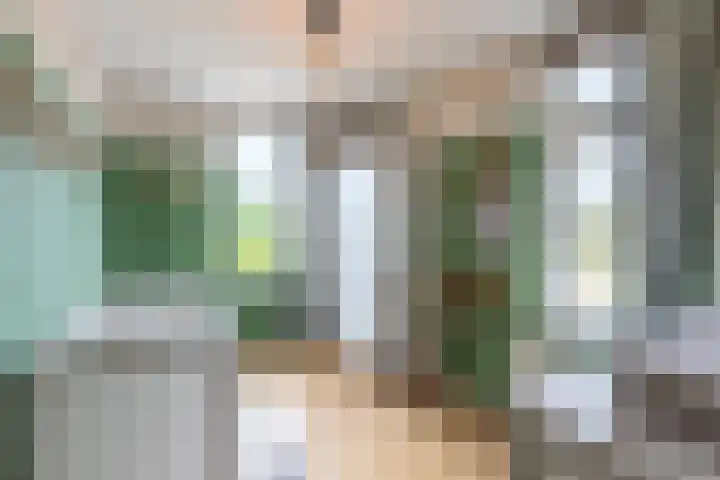 Schepen 67 Naaldwijk thumbnail 34