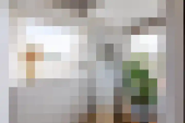 Schepen 67 Naaldwijk thumbnail 38