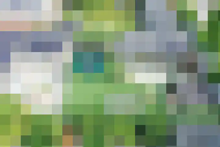 Schepen 67 Naaldwijk thumbnail 43