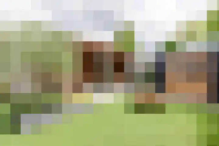 Schepen 67 Naaldwijk thumbnail 44