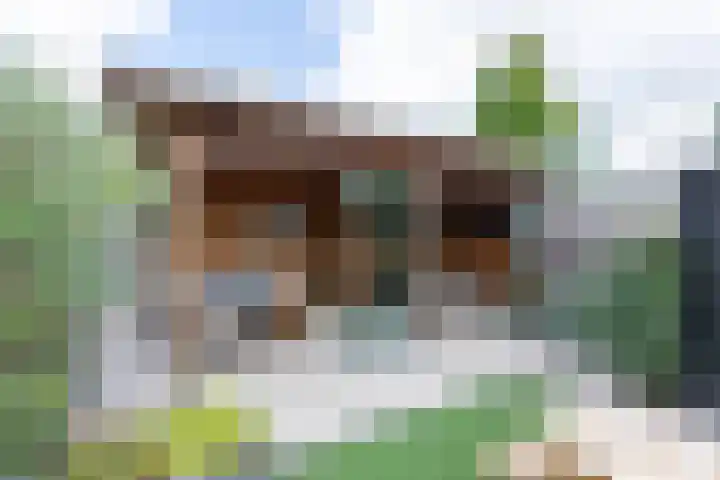 Schepen 67 Naaldwijk thumbnail 45