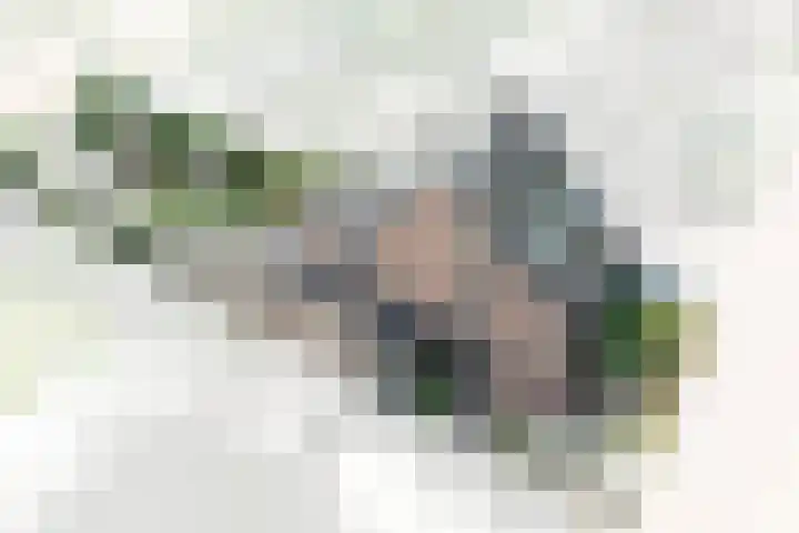 Schepen 67 Naaldwijk thumbnail 47