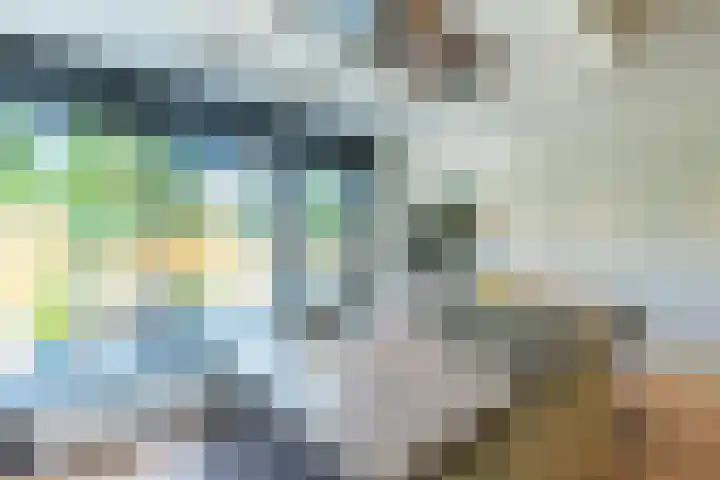 Schepen 67 Naaldwijk thumbnail 5