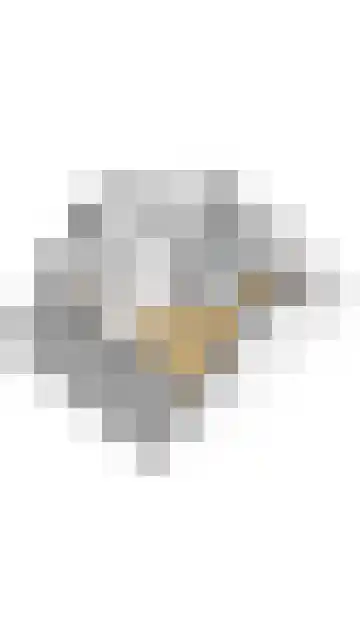 Schepen 67 Naaldwijk thumbnail 53