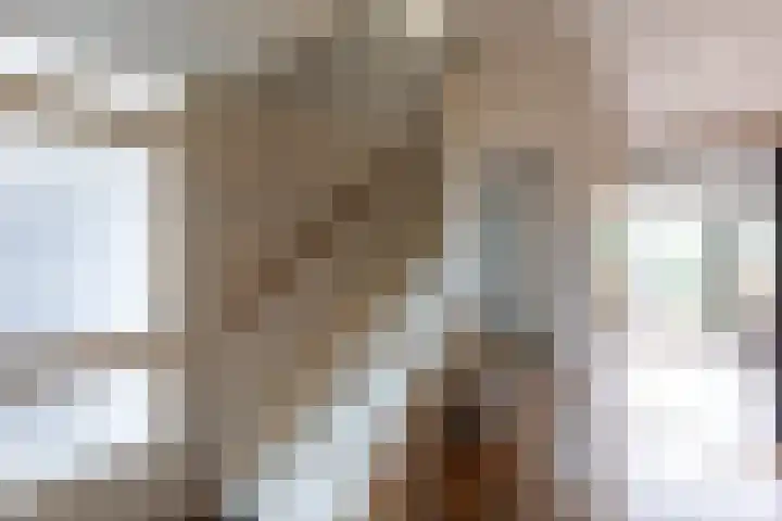 Schepen 67 Naaldwijk thumbnail 6