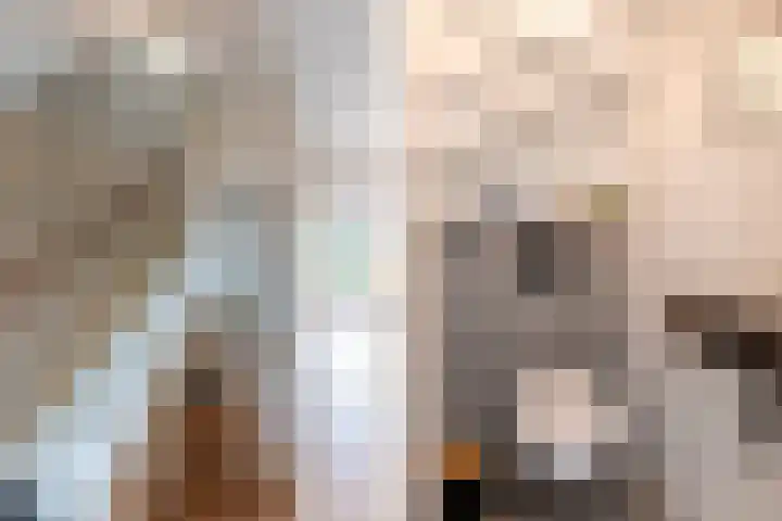 Schepen 67 Naaldwijk thumbnail 7