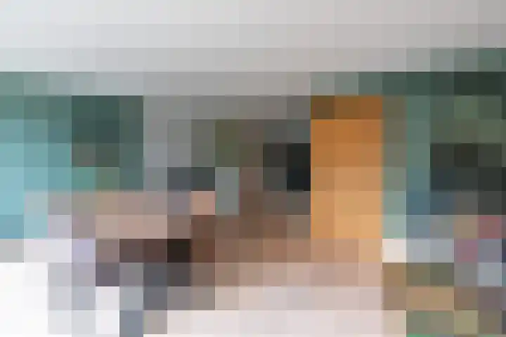 Schepen 67 Naaldwijk thumbnail 8