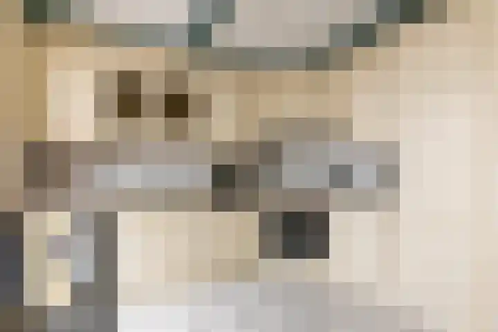 Schepen 81 Naaldwijk thumbnail 11
