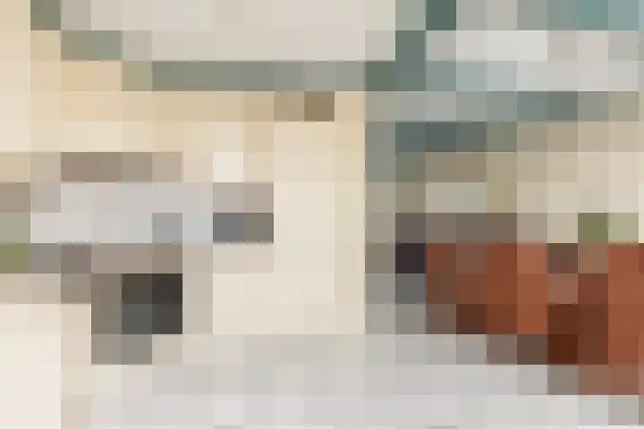 Schepen 81 Naaldwijk thumbnail 12