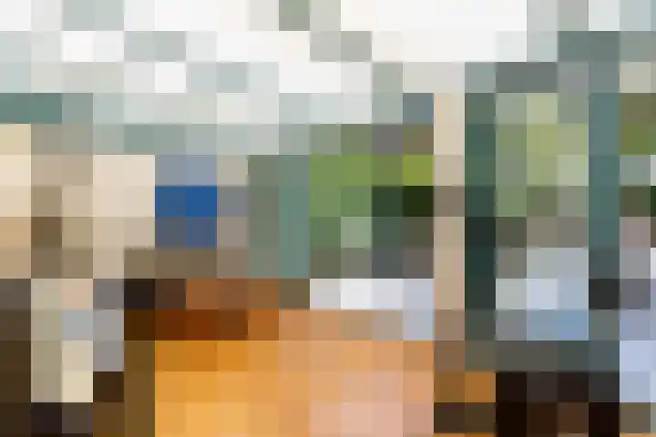 Schepen 81 Naaldwijk thumbnail 14