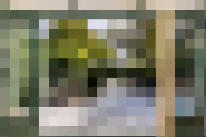 Schepen 81 Naaldwijk thumbnail 15