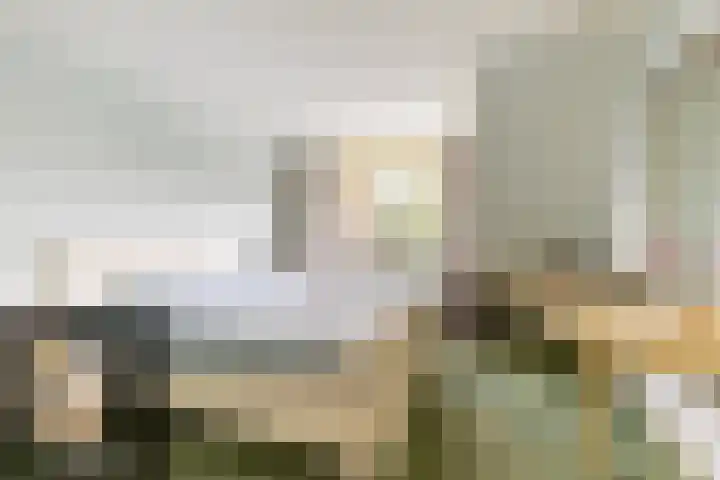 Schepen 81 Naaldwijk thumbnail 20