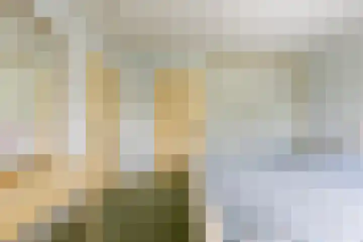 Schepen 81 Naaldwijk thumbnail 21