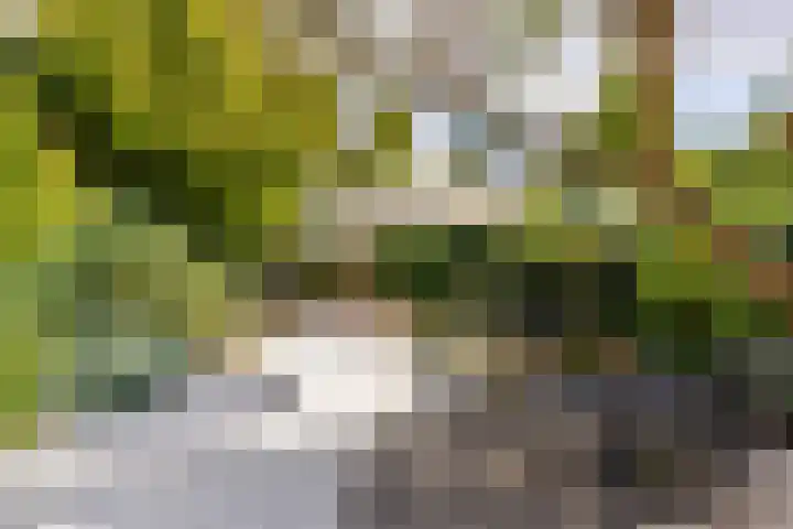Schepen 81 Naaldwijk thumbnail 35