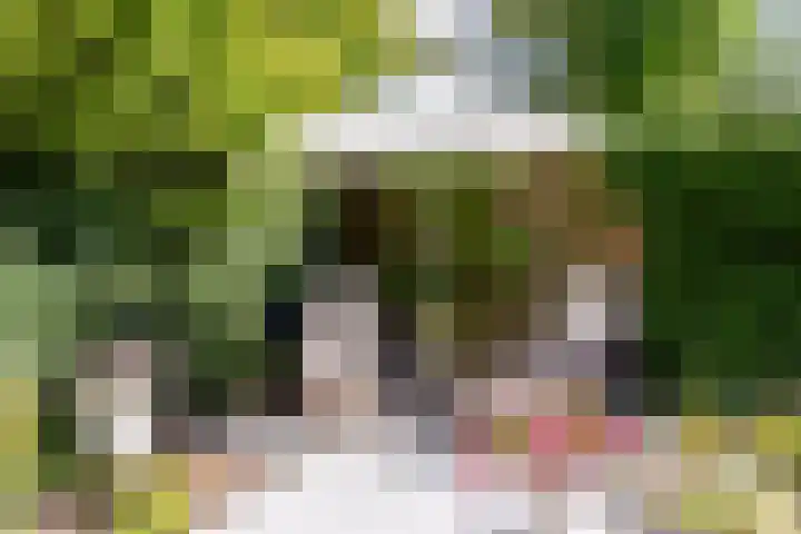 Schepen 81 Naaldwijk thumbnail 36