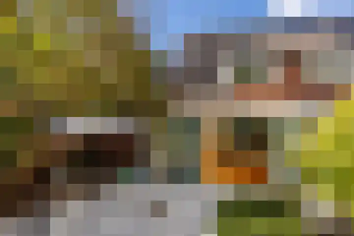 Schepen 81 Naaldwijk thumbnail 4