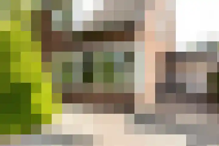 Schepen 81 Naaldwijk thumbnail 5