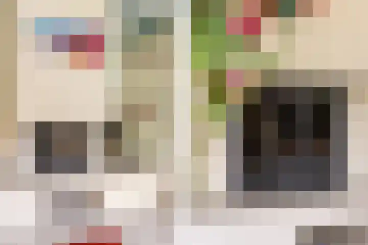 Schepen 81 Naaldwijk thumbnail 9