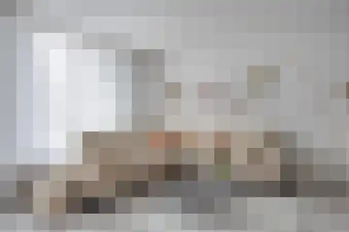 Schepen Canishof 17 Arnhem thumbnail 13